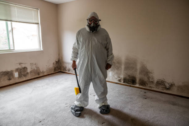 Moberly, MO Mold Remediation Company